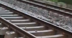 Socavón bajo la línea férrea obliga a suspender servicio ferroviario entre Talcahuano y Laja