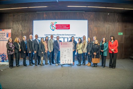 Biobío conforma la primera red regional de universidades para fortalecer la lactancia materna
