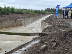 Fortalecen la seguridad hídrica de más de 4.700 hectáreas con obras en el Canal Biobío Norte en Los Ángeles