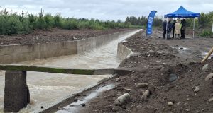 Fortalecen la seguridad hídrica de más de 4.700 hectáreas con obras en el Canal Biobío Norte en Los Ángeles