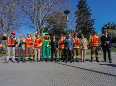 Llaman a postular a 536 cupos de brigadistas forestales en el Biobío