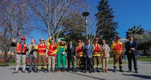 Llaman a postular a 536 cupos de brigadistas forestales en el Biobío