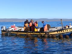 Pescadores y acuicultores artesanales afectados por sistemas frontales ya pueden postular a fondo de reactivación económica