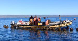 Pescadores y acuicultores artesanales afectados por sistemas frontales ya pueden postular a fondo de reactivación económica