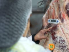 Inician programa de fiscalización de Fiestas Patrias con 83 inspecciones y más de 3 toneladas en decomisos