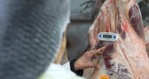 Inician programa de fiscalización de Fiestas Patrias con 83 inspecciones y más de 3 toneladas en decomisos