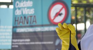 Minsal suma hantavirus a alerta sanitaria vigente ante aumento de casos y letalidad