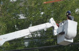 Llaman a reforzar la prevención eléctrica ante lluvias y fuertes vientos en Biobío