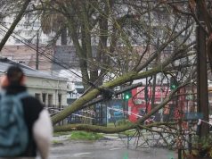 Alerta preventiva por viento en el Biobío: autoridades entregan recomendaciones para evitar emergencias