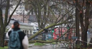 Alerta preventiva por viento en el Biobío: autoridades entregan recomendaciones para evitar emergencias