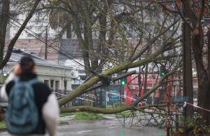 Alerta preventiva por viento en el Biobío: autoridades entregan recomendaciones para evitar emergencias