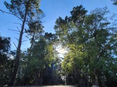 Parque Cerro Caracol amplía su horario para primavera-verano