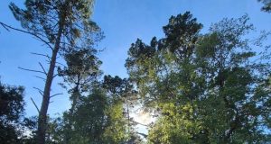 Parque Cerro Caracol amplía su horario para primavera-verano