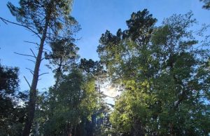 Parque Cerro Caracol amplía su horario para primavera-verano