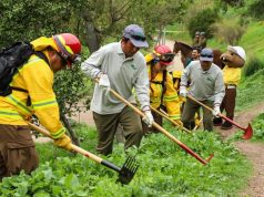 Abren 1.500 empleos para reforzar la prevención de incendios forestales en Biobío
