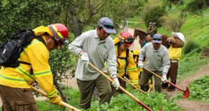 Abren 1.500 empleos para reforzar la prevención de incendios forestales en Biobío