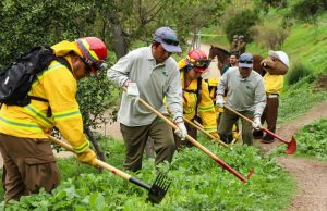 Abren 1.500 empleos para reforzar la prevención de incendios forestales en Biobío