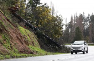 SENAPRED declara Alerta Amarilla en la provincia del Biobío por fuertes vientos