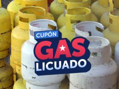 Cerca de 4,8 millones de hogares utilizaron el Cupón de Gas Licuado durante su vigencia