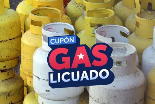Cerca de 4,8 millones de hogares utilizaron el Cupón de Gas Licuado durante su vigencia