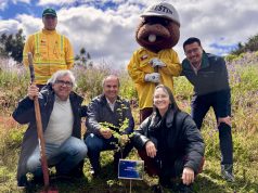 CONAF entregará 8 mil plantas nativas a cuatro comunas de la provincia de Concepción