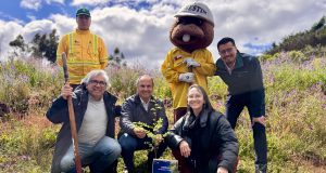 CONAF entregará 8 mil plantas nativas a cuatro comunas de la provincia de Concepción