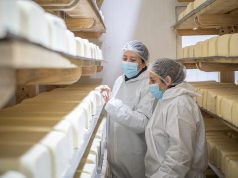 Prohíben temporalmente elaboración de productos en planta de Lácteos Matthei por resultados positivos a Listeria