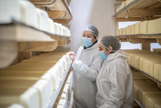 Prohíben temporalmente elaboración de productos en planta de Lácteos Matthei por resultados positivos a Listeria