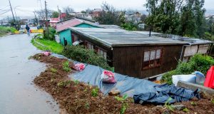 Inician obras de muro de contención en cerro Zaror de Talcahuano