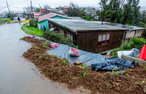Inician obras de muro de contención en cerro Zaror de Talcahuano