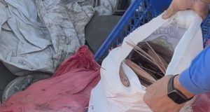 Hallan siete elementos explosivos en una chatarrería de Talcahuano: dueño del local fue detenido