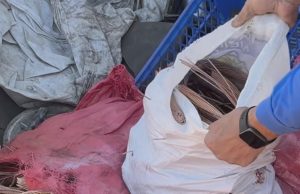 Hallan siete elementos explosivos en una chatarrería de Talcahuano: dueño del local fue detenido