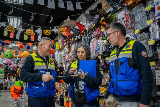 Seremi de Salud del Biobío realiza fiscalizaciones a juguetes y disfraces ante la celebración de Halloween
