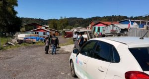 Investigan presunto envenenamiento de cuatro perros encontrados muertos en Caleta Lenga