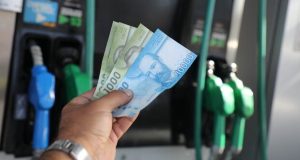 Congreso despacha extensión de bonos de $100 mil para transportistas y pescadores artesanales