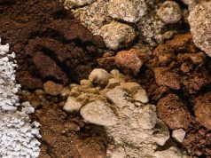 Proyecto de tierras raras en Penco eleva inversión a US$244 millones, casi el doble de lo estimado en 2021