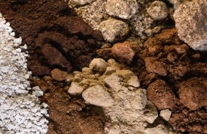 Proyecto de tierras raras en Penco eleva inversión a US$244 millones, casi el doble de lo estimado en 2021